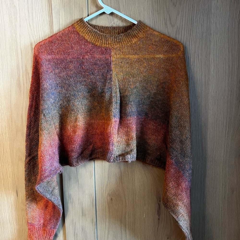 Aritzia free cropped fall sweater